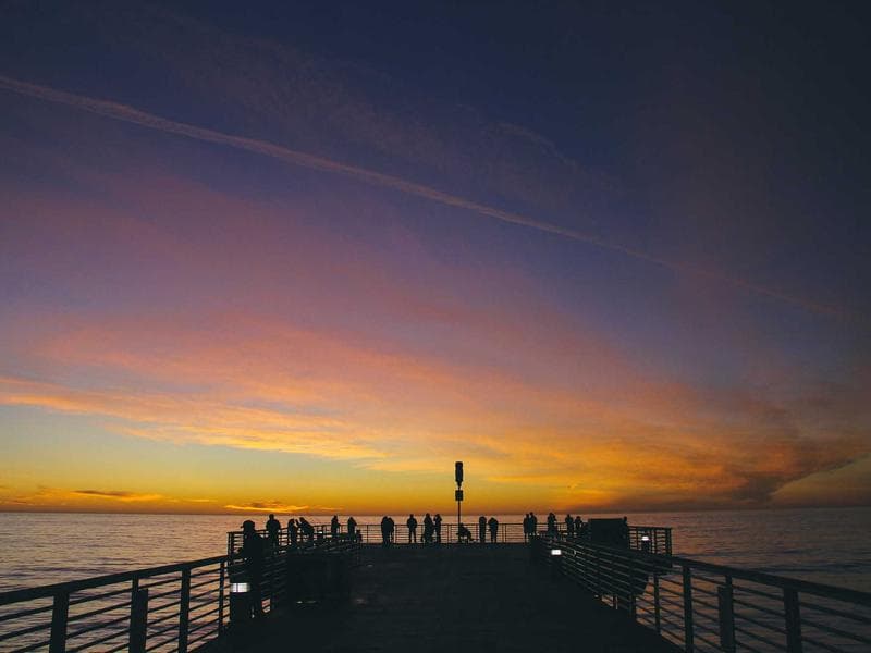 Natural Bug Repellent Recipes & Protection