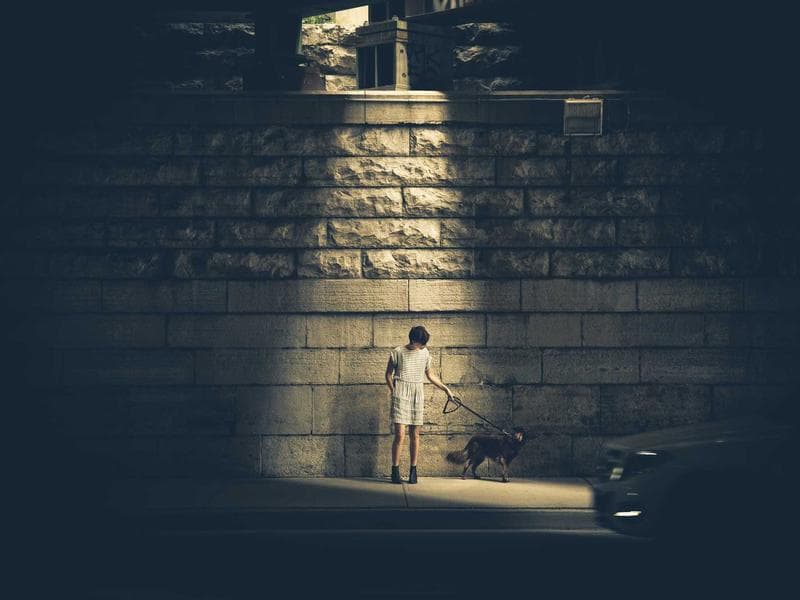 Essential Oils for Eliminating Home Odors