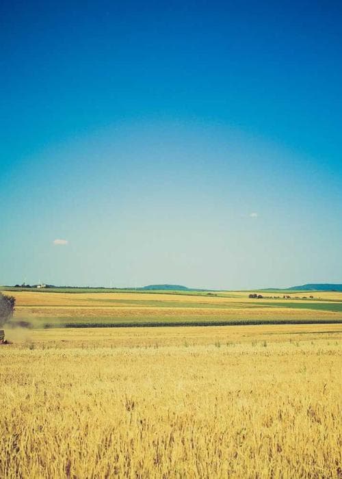 Pure Coffee Candle Aromatherapy Soy Wax