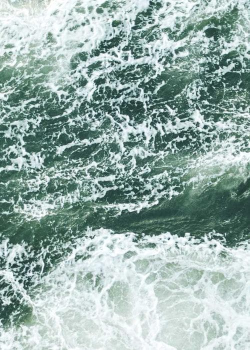 The JW Marriot-Inspired Essential Oil Blend