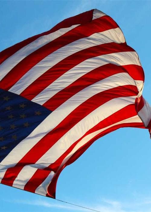 Pure Lemongrass Candle Aromatherapy Soy Wax