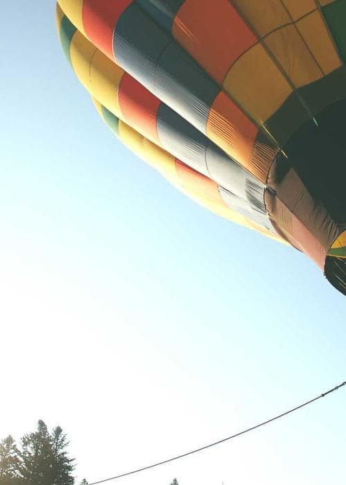 Tea Tree Essential Oil